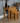 Farmhouse Oak Nest Of 3 Tables