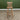 Roos Wooden Bar Stool With Back 76Cm