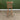 Roos Wooden Bar Stool With Back 76Cm