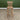 Roos Wooden Bar Stool With Back 76Cm
